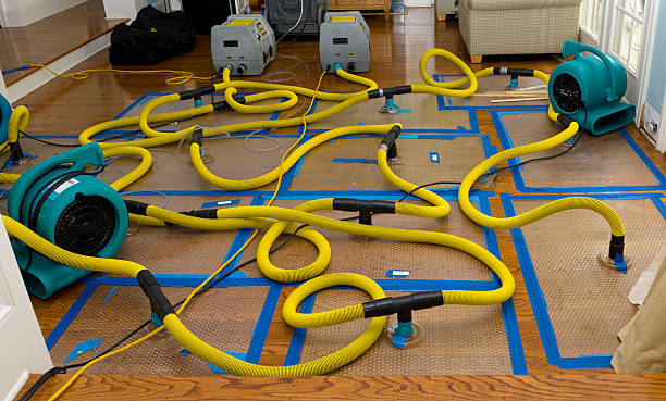 Professional Storm Water Damage Restoration technician working in Hampshire, IL